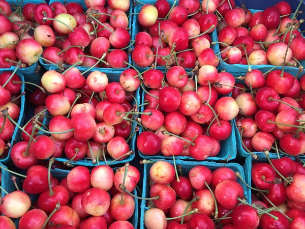 Cherries from Laughing apple farm on Salt Spring Island