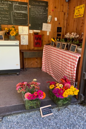Interior of the Laughing Apple Farm Stand