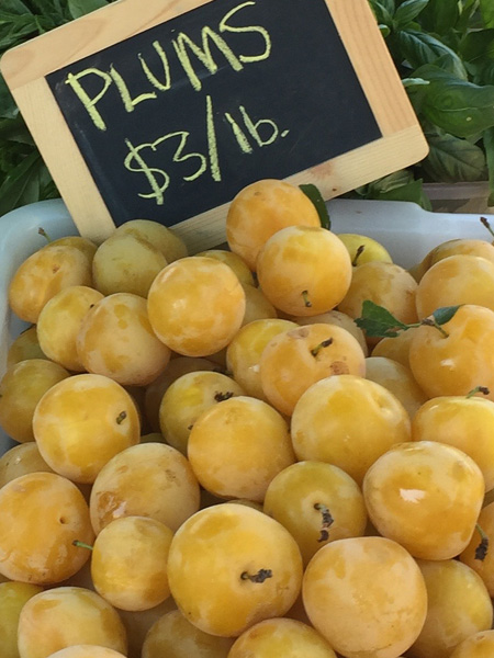 plums and other fruit are available in the 2018 CSA